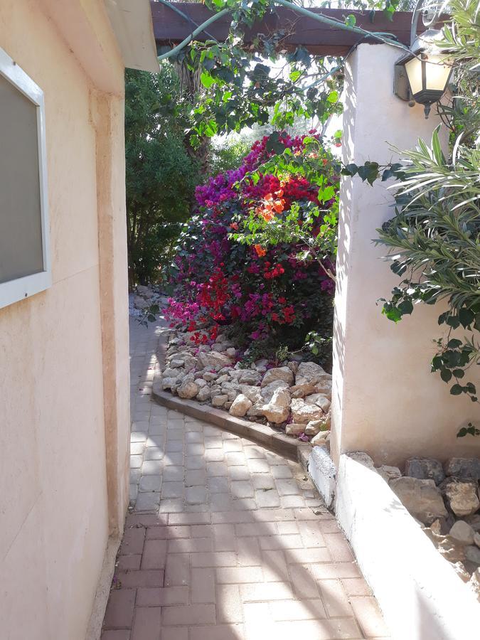 Sapir Appartement